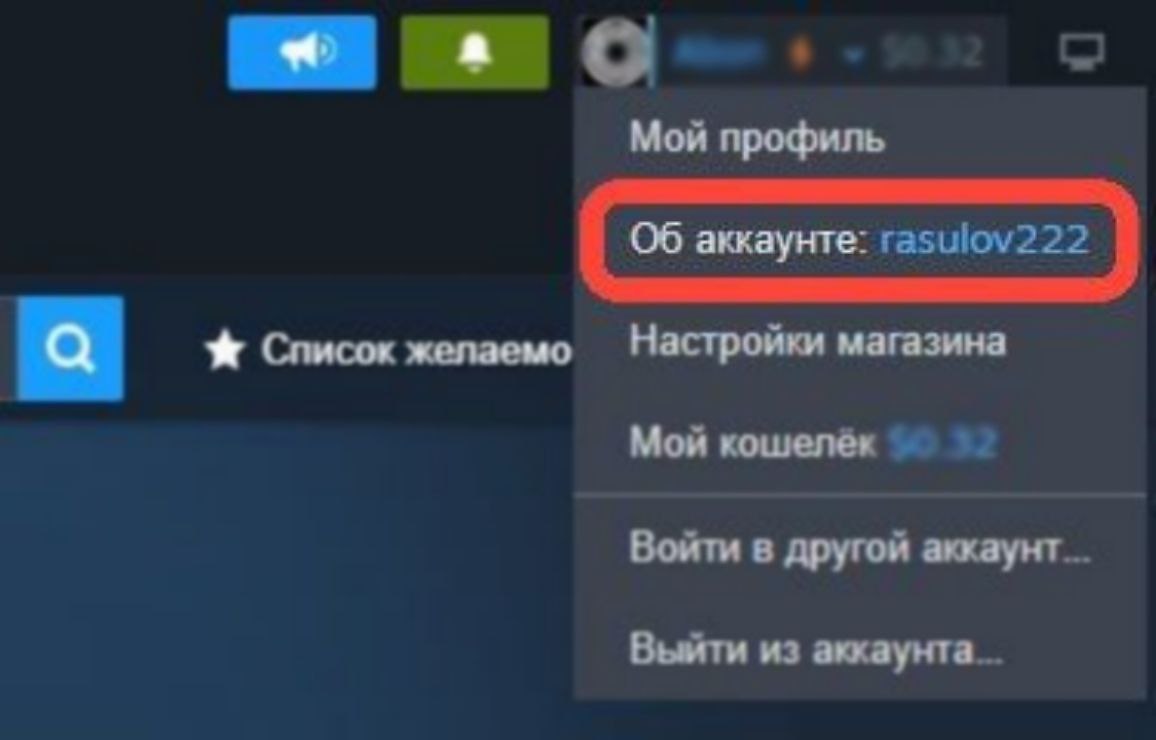 Где найти ваш Steam-логин